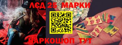 тгк Кингисепп