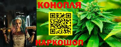 дмт Кандалакша