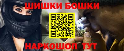 тгк Кингисепп