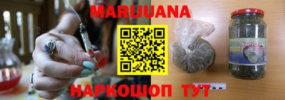 тгк Кингисепп