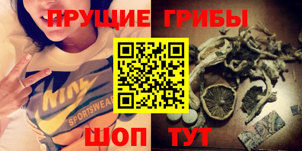 Псилоцибиновые грибы прущие грибы  Галлюциногенные грибы Psilocybine cubensis  Куйбышев  Вход с VPN 
